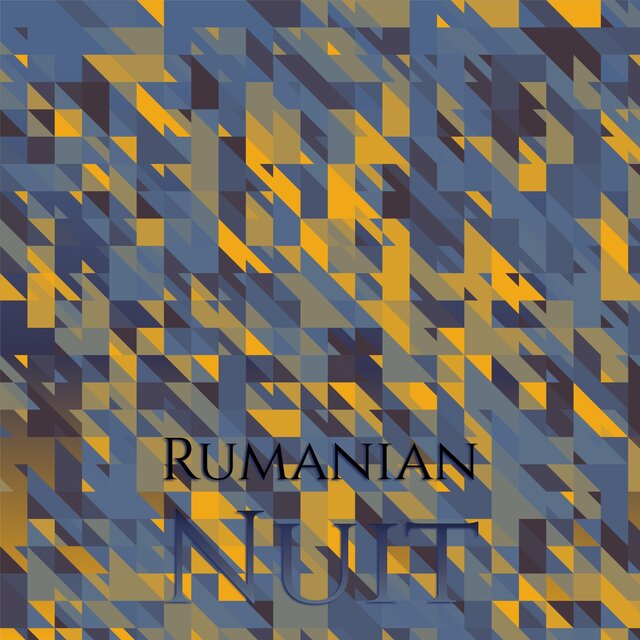 Rumanian Nuit