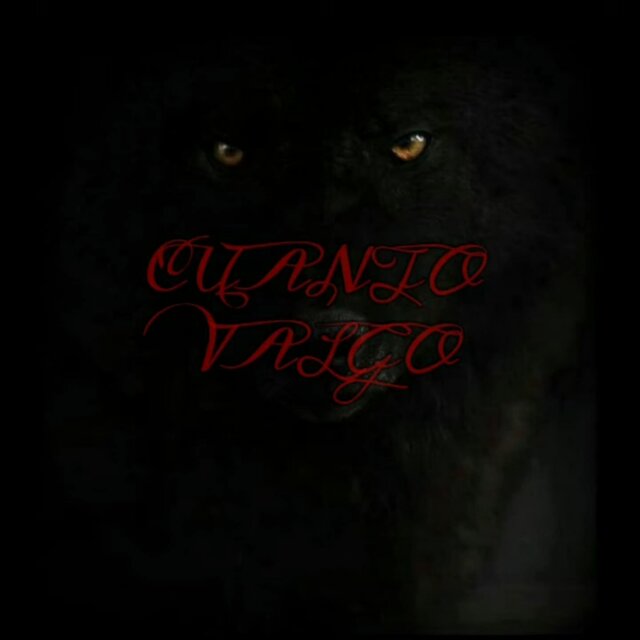 Cuanto valgo (Freestyle)
