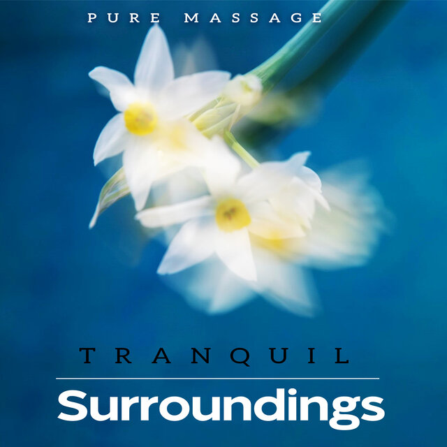 Tranquil Surroundings