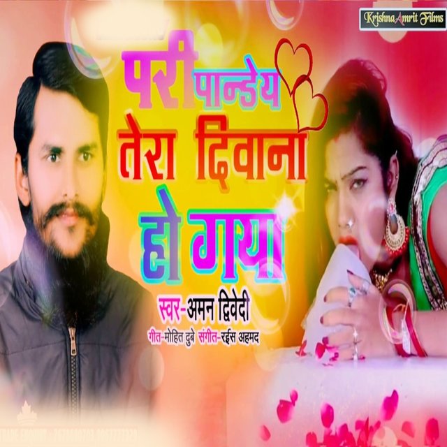 Pari Pandey Tera Deewana Ho Gaya