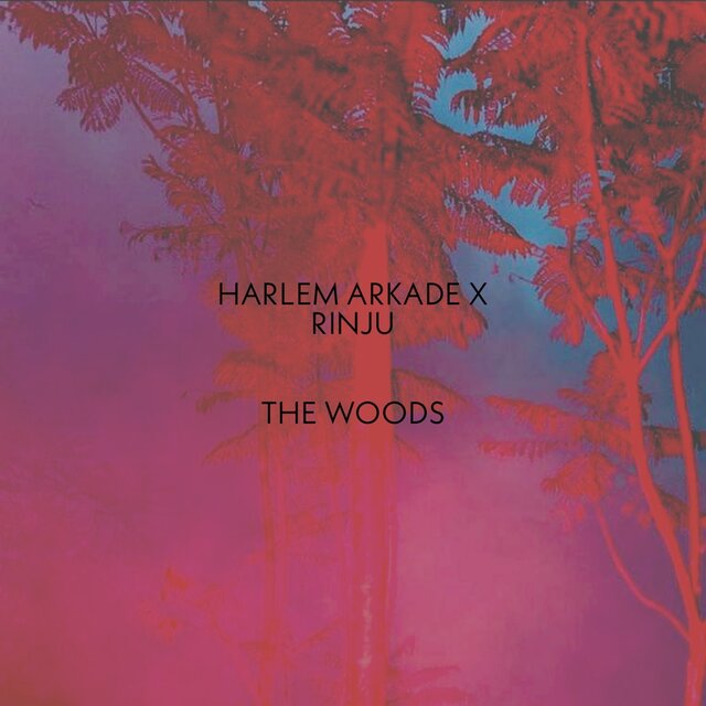 THE WOODS