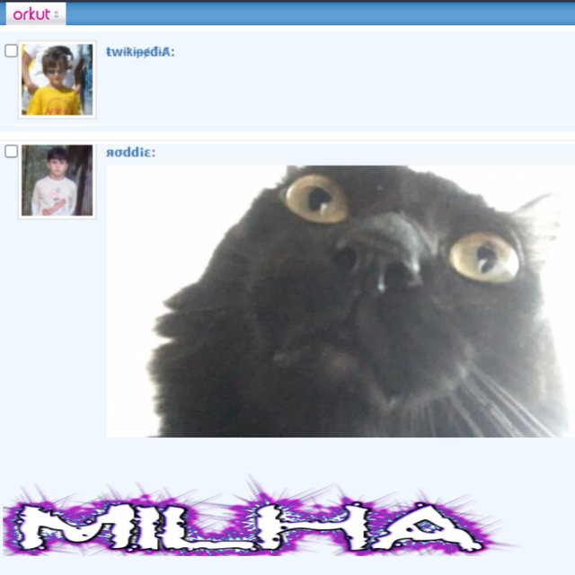MILHA