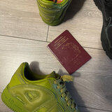 tatted passport