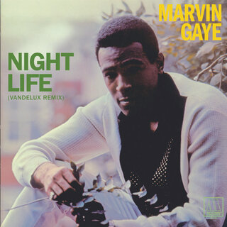 CD In Our Lifetime? Marvin Gaye リマスター