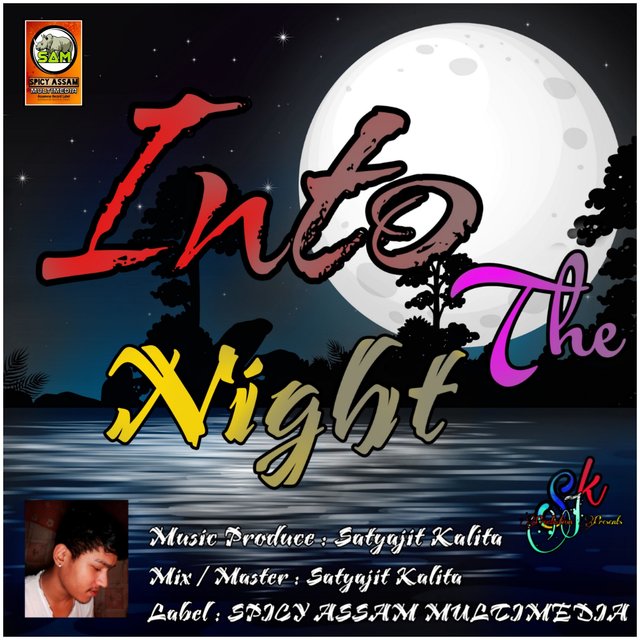 Into The Night