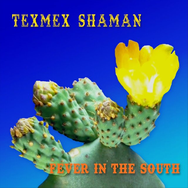 Fever in the South