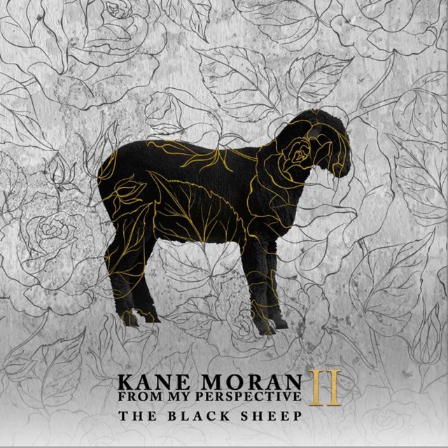 From My Perspective II: The Black Sheep