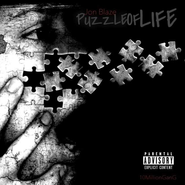 Puzzle of Life