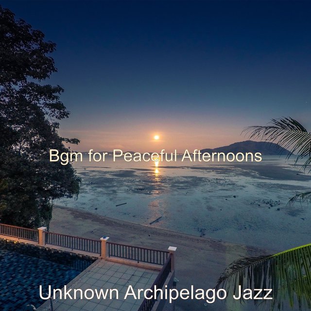 Bgm for Peaceful Afternoons