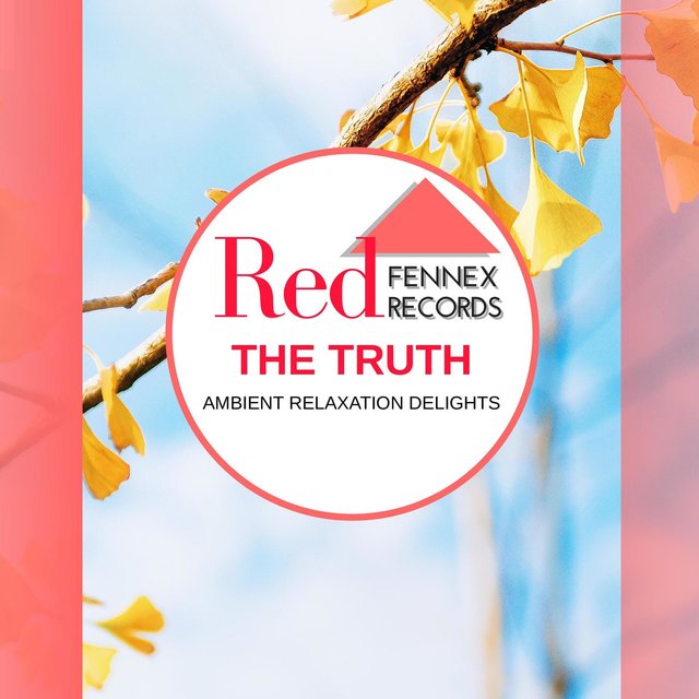 The Truth - Ambient Relaxation Delights