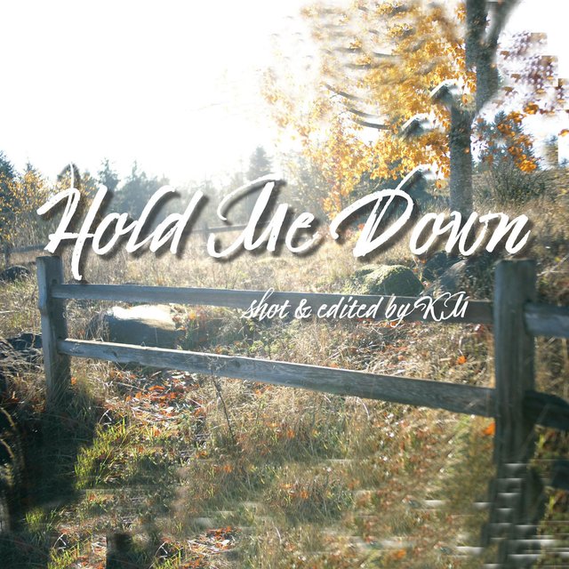 Hold Me Down (feat. King Hansom)