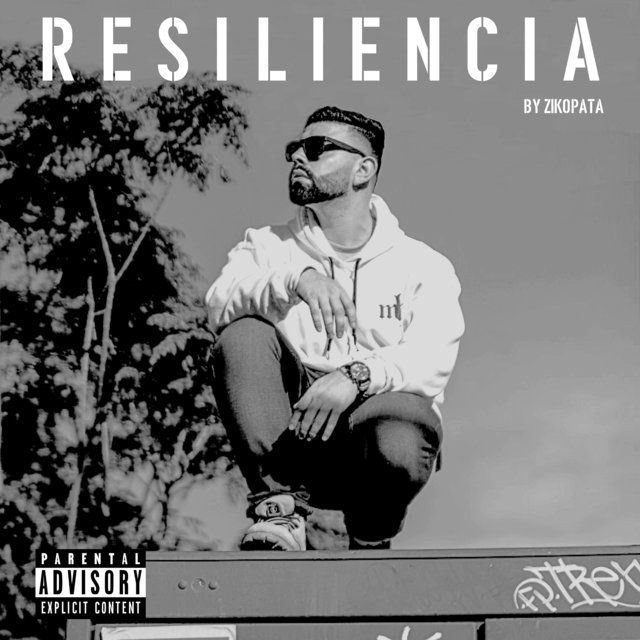 Resiliencia