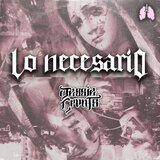 Lo Necesario