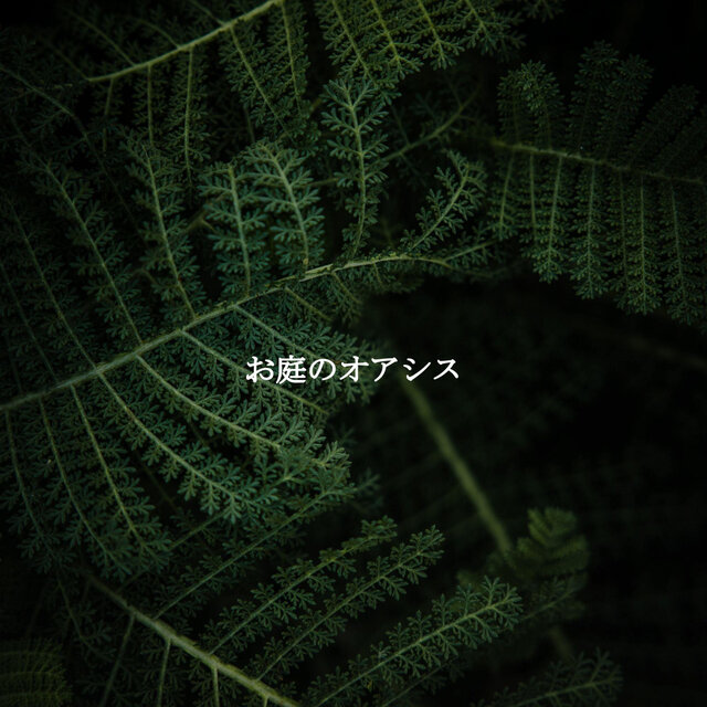 お庭のオアシス