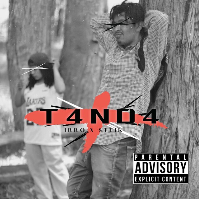 T4ND4 (feat. Steik)