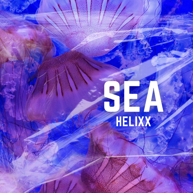 Sea
