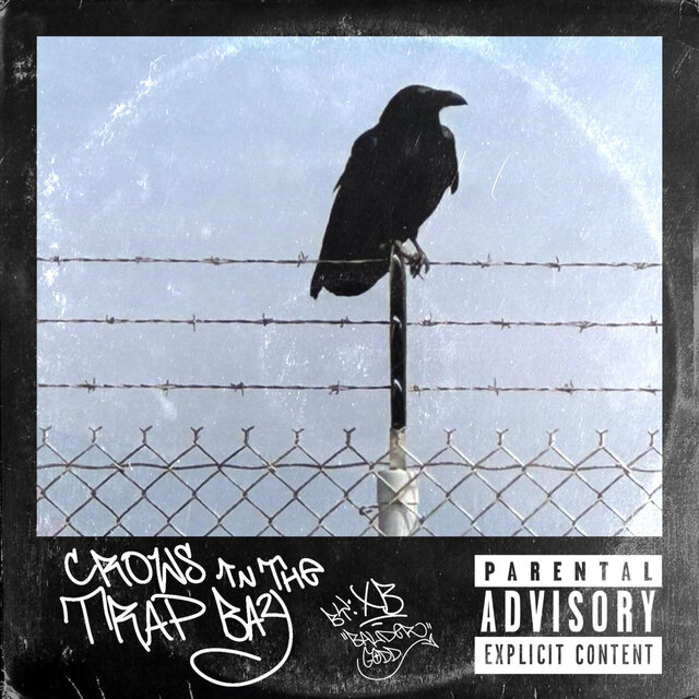 CROWS IN THE TRAP BAY