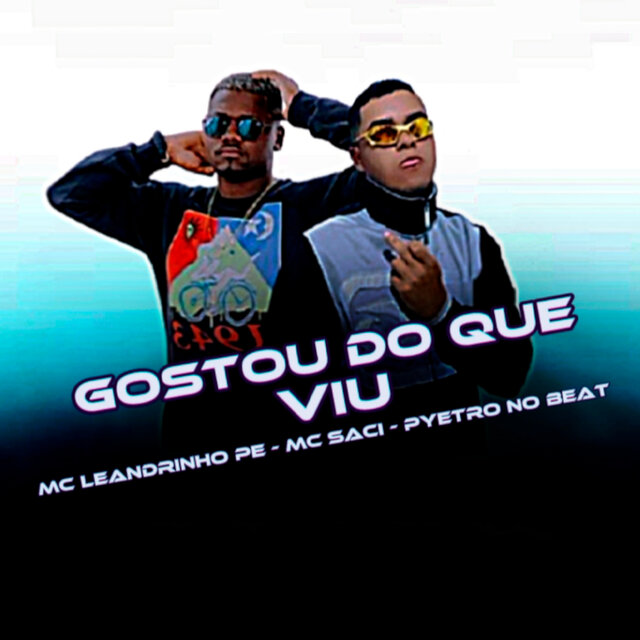 Gostou do Que Viu