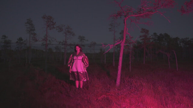 Skott - Roses N Guns