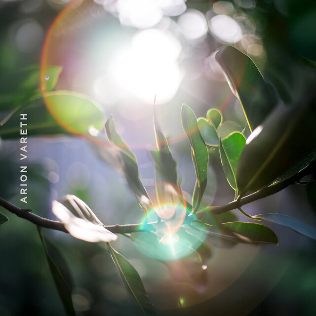 Sunlit Aura Walks