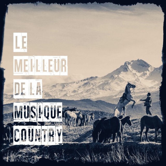Le Meilleur De La Musique Country