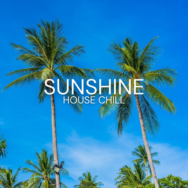 Sunshine House Chill (Summer Vibes and Electronic Grooves)