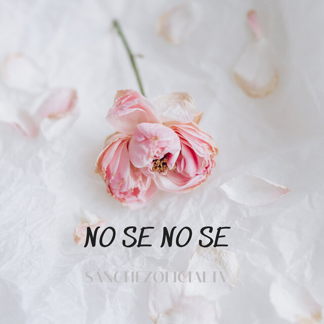 No Se No Se
