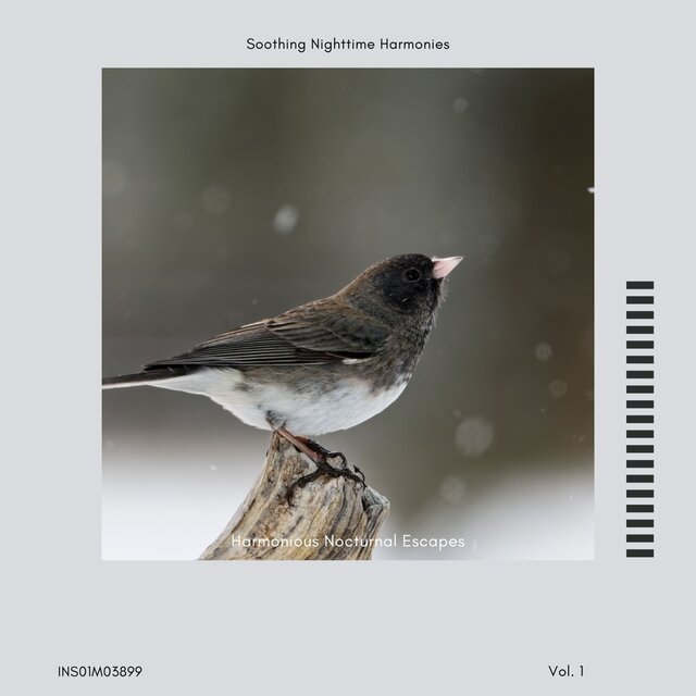 Harmonious Nocturnal Escapes - Soothing Nighttime Harmonies, Vol. 01