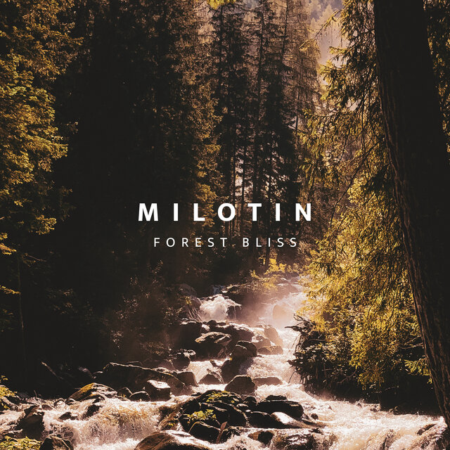 Forest Bliss