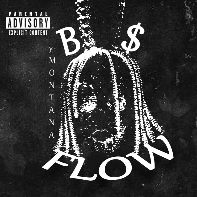 Bsflow