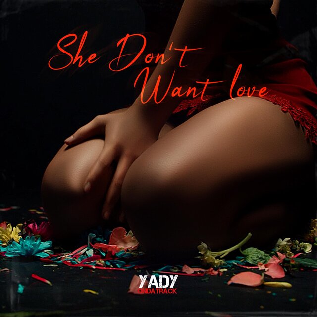 She Don't Want Love