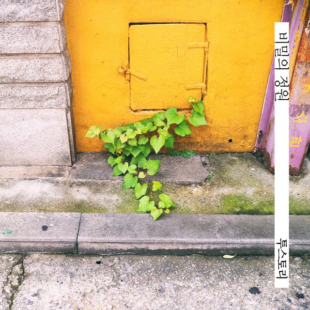 Secret Garden