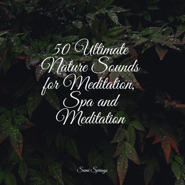 50 Ultimate Nature Sounds for Meditation, Spa and Meditation