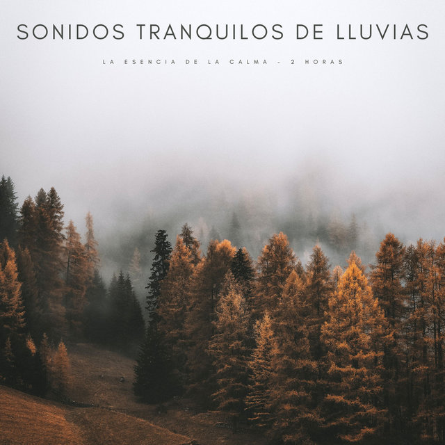 Sonidos Tranquilos De Lluvias: La Esencia De La Calma - 2 Horas