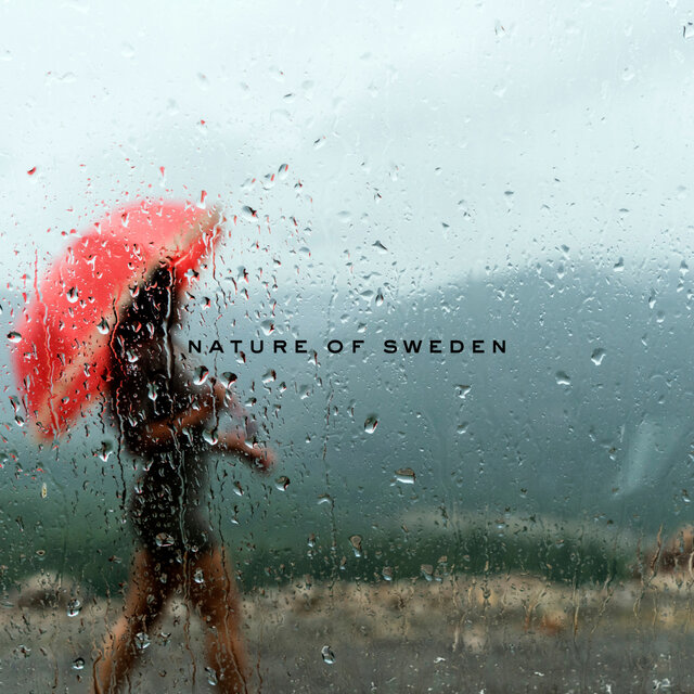 Soft Rain and Distant Thunder and Sleep Sounds