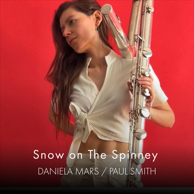 Snow on the Spinney