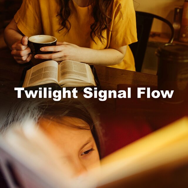 Twilight Signal Flow