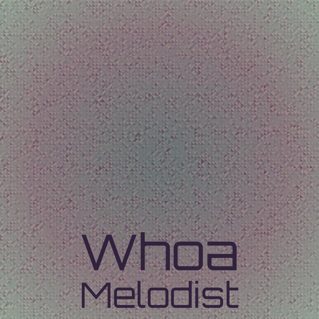 Whoa Melodist