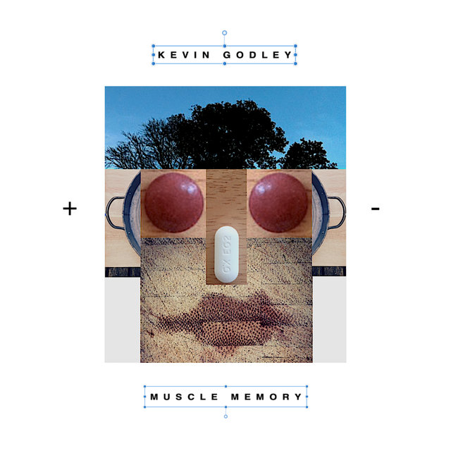 Cover art for album Muscle Memory by Kevin Godley