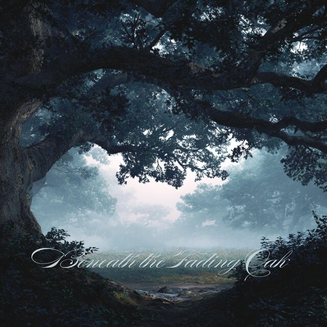 Beneath the Fading Oak