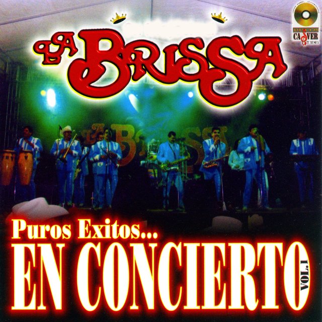Puros Exitos en Concierto, Vol. 1