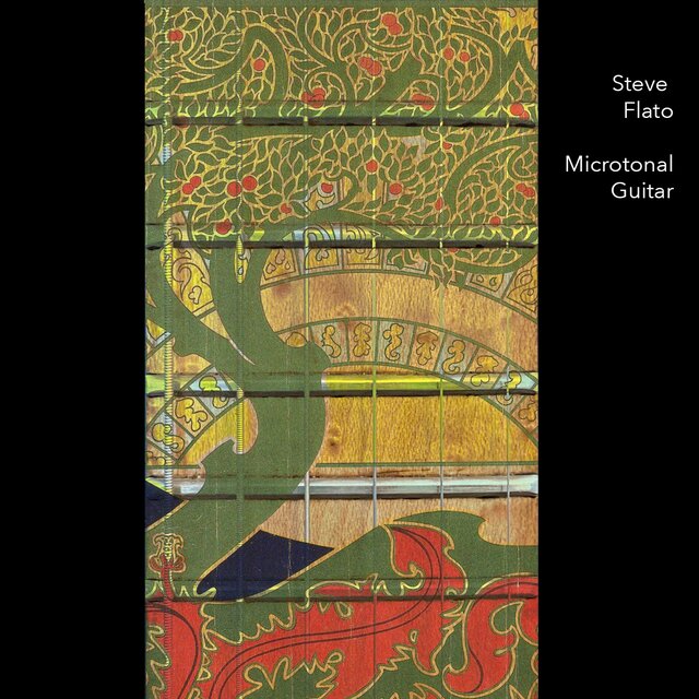 Microtonal Guitar