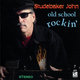 Cover art for album Old School Rocking by Studebaker John