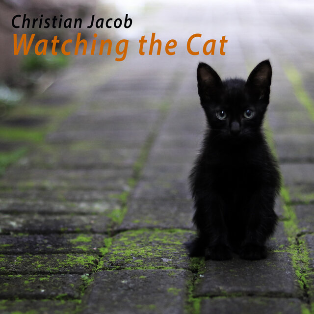 Watching the Cat