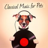 Salut d'amour in E Major, Op.12