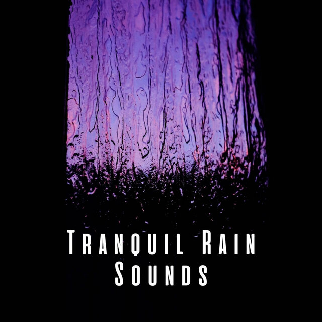 Tranquil Rain Sounds