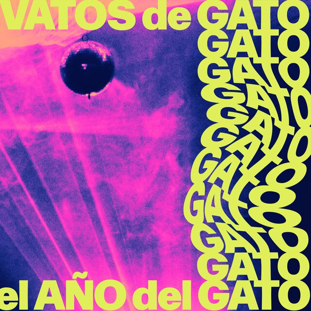el AÑO del GATO
