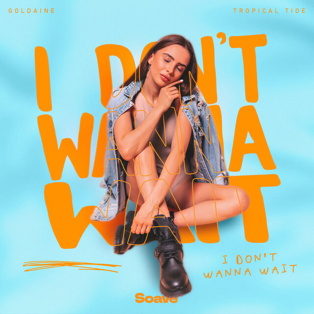 I Don't Wanna Wait