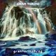 Cover art for album grantorinoProg by Gran Torino