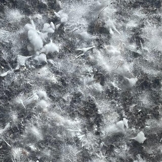 flow motion